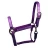 Import PVC HALTERS from China