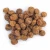 Import Quality Tiger Nuts For Sale from South Africa