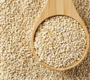 Quinoa Grain/ Quinoa Seeds/Organic Quinoa