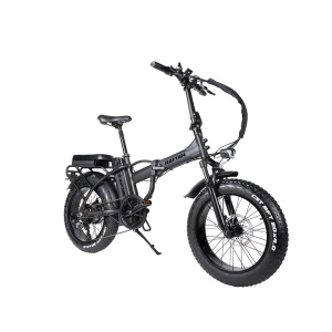 Rattan LM Top sale guaranteed quality 750W high step fat tire ebike china electric bicycle