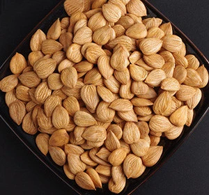 Raw Organic Bitter and Sweet Almonds for sale/ bitter Apricot Kernels 1LB bag