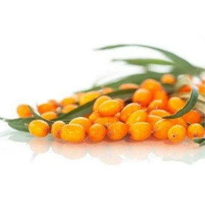 Raw Sea Buckthorn 100% Fruit Juice Concentrate 6:1 used for Food Beverage Drink