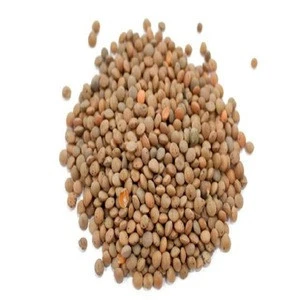 RED SPLIT AND WHOLE LENTILS FOR SALE