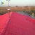 Import Resin Roof Sheet ASA/PVC Synthetic Roof Tile Easy to Install from China