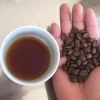 Roasted Robusta Coffee Bean from Vietnam