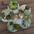 Import ROOGO Imitated Stone Resin Flower Plant Pot for garden decoration from China