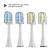 Import RST2922 oral hygiene Sonic electric toothbrush heads from China