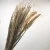 Import Ruikali Yunnan High quality supply natural dried flowers colorful Millet for Interior decoration from China