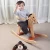 Import Safety Rock and Ride Wooden Rocking Horse ASTM-F963 dealer from China