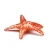 Import Sea Animal Souvenir Gifts Crystal Starfish Hand Blown Glass from China