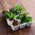 Import Set of 4 Home Indoor Decoration Mini Assorted Green Artificial Succulent Plants with Square White Ceramic Planters from China
