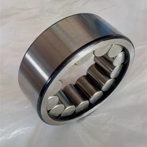 Shaft Bearing F-217040  hydraulic pump bearing
