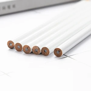 Shuhao factory Wholesale Low Price Custom Logo Printed Standard Erasable Charcoal Pencil