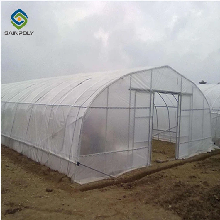 Single-span agricultural plastic products greenhouse manufacturers film tunnel greenhouse hydroponic green houses greenhouse