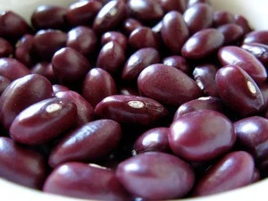 SMALL AND BIG Red Kidney Beans/Dark Red Kidney Beans/White Kidney