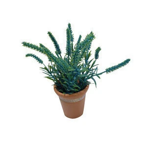 Small artificial ornamental plants with pot for wedding decoration