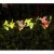 Import Solar Garden Lights Outdoor Lily Flower Solar Lights Multi-Color Changing LED Solar Stake Lights for Garden Patio Backyard Decor from China