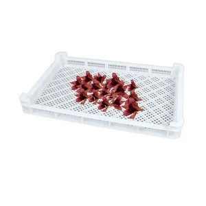 Stackable Perforated Edible Usage Dried Flowers Vegetables Preserved Fruit Meat Jelly Gummy Candy Plastic Drying Tray