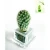 Import Succulent plant pet plant from China
