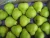 Import SUPER QUALITY FRESH PEARS from South Africa