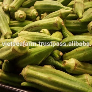 Supply fresh, frozen Okra from Vietnam