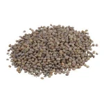 Supply Super Best Quality Guar Gum Powder From India