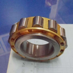 Sweden brand speed reducer bearing RN308M RN312M all other series