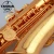 Taishan Musical Instrument 5000 Eb Alto Saxophone Gold Lacquer