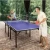 Import Tennis Tables International Standard Size Blue Top Foldable Legs Folding Pingpong Table from China