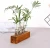 Import Test Tube Stand Hanging Flower Vase Decorative Rustic Wood Holder from China