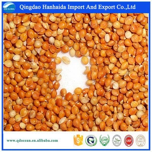 Top quality red millet in husk with reasonable price and fast delivery on hot selling !