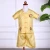 Import traditional Chinese clothing with kids tang suit boys summer  jacquard dragon kids clothing boys set from China