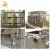 Import Two stages Milk Processing Types dairy homogenizer from China