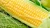 Import Ukrainian Yellow corn for Animal Feed from 500 tons  2018 Yellow corn from Ukraine