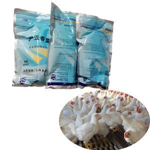 Veterinary herbal medicines eggs chicken feed additive for laying hen