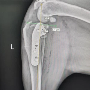 Veterinary Implants Medical TPLO Locking Plate