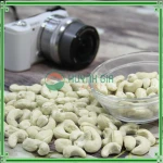 VIETNAM CASHEW NUTS KERNELS W320/ CASHEW NUTS WW320