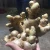 Import Vietnam Fresh Ginger, Fresh Old Ginger, Fresh Mature Ginger for processing refined ginger oil and spices . from Vietnam