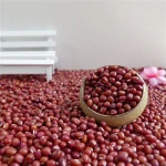 Vigna Adzuki Beans