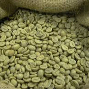 Washed Arabica green coffee beans Grade AA / Unroasted green coffee beans