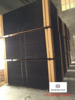 Water Proof Film Faced Plywood