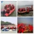 Import Water rescue water sports safety equipment protection head ABS helmet hard hat from China