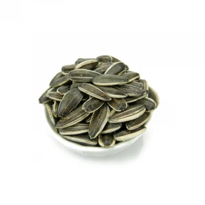 Well selected import Sunflower Seeds 5009