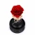 Import wholes preserved eternal roses in glass dome preserved flower music box from China