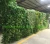 Import wholesale Customized Artificial Plant Wall Grass And Flower Wall for plant wall decoration from China