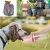 Import Wholesale OEM350ml  Pet Dog Water Bottle Portable Pet Mini Cup Outdoor Travel Pet Water Bottle from China