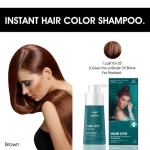 Wholesale Organic Natural Herbal Non Allergic Hair Dye Shampoo Hair Black Ginger Extract Hair Color Shampoo