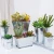Import Wholesale Ornamental Rectangle Iron Vase  And Succulents Artificial Cactus Plants from China
