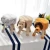Import Wholesale small sitting stool cheap cute animal soft plush cover child wooden stools for kids from China