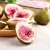Import wholesale snacks hot sale fruits and vegetables crisp single layer freeze dried  fruit fig from China